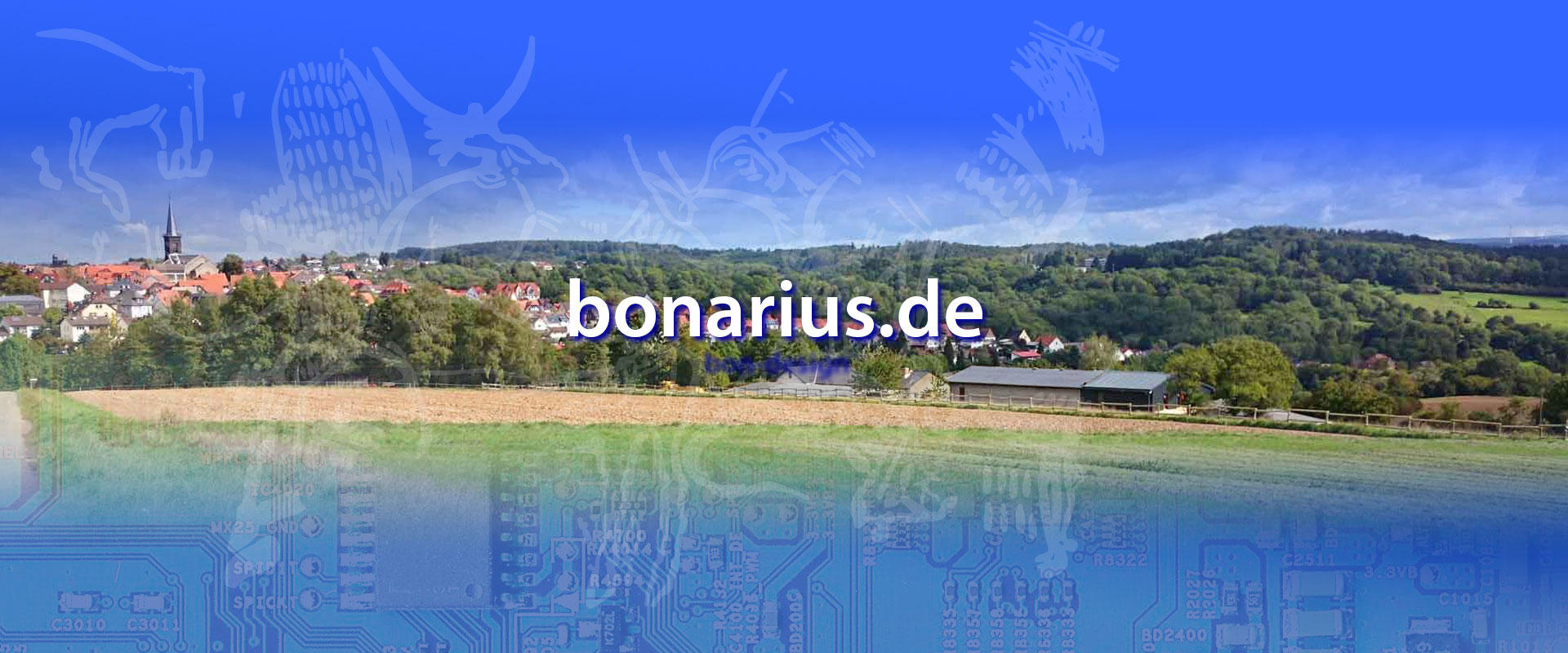 bonarius design